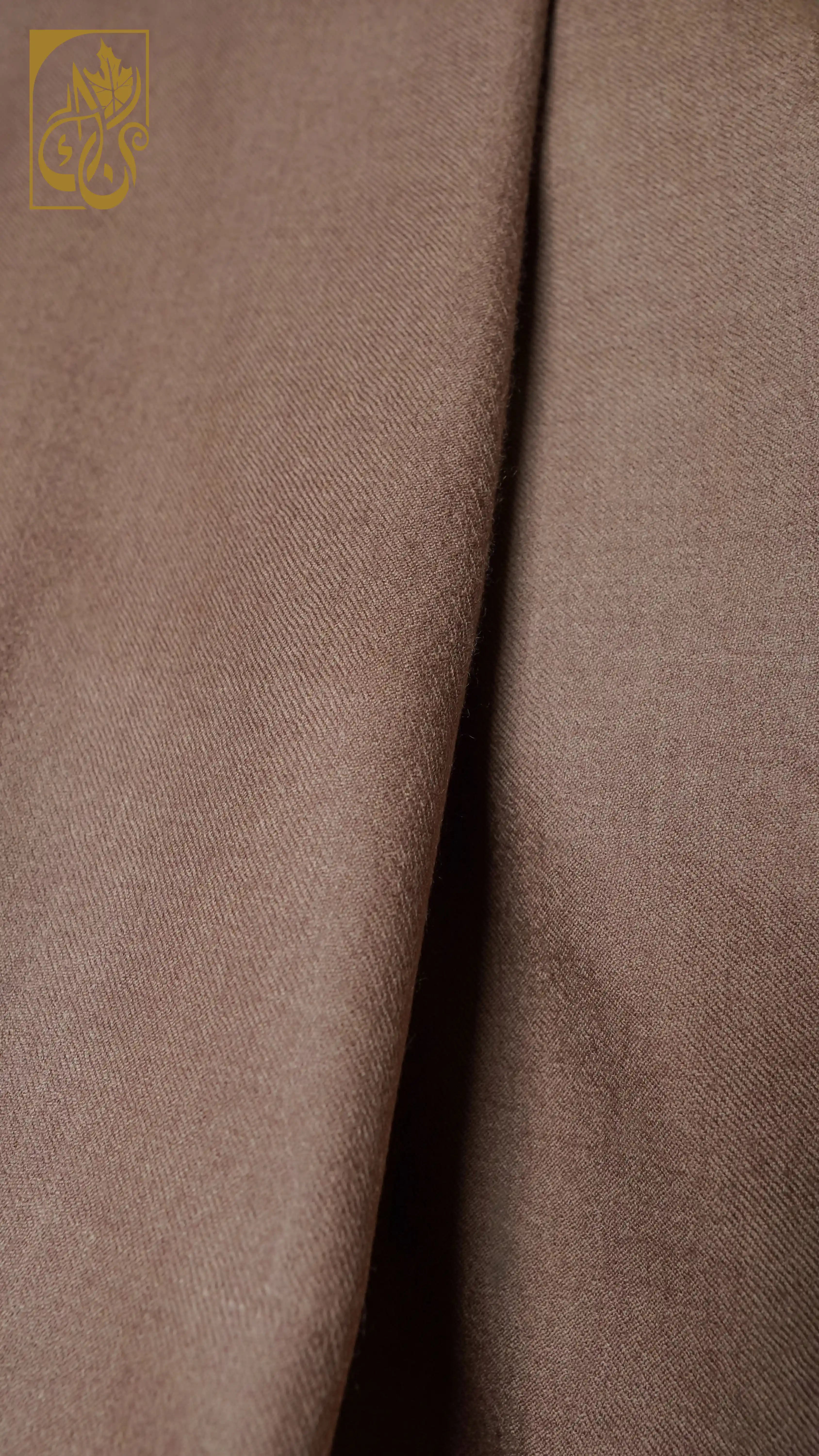 Azm-e-Shah — The Shah’s Unyielding Will